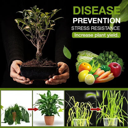 Soil Activated Treasure Plant Growth Booster | Improves Soil Quality & Root Support | Suitable for Indoor & Outdoor Plants | for Pots, Gardens & Home Plants | Easy to Use 200g (pack of 2)